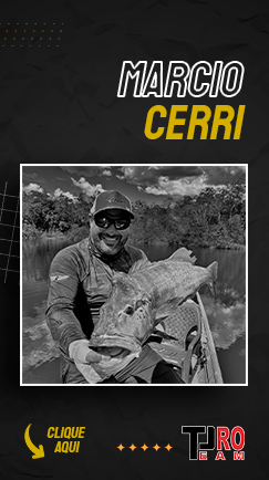CERRI